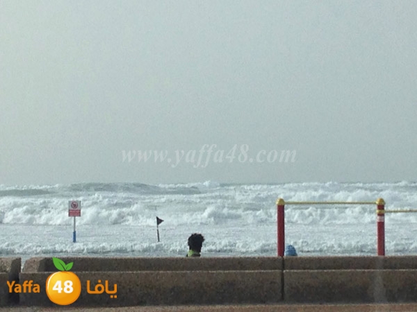 yaffa sea ba7r 3asefa (13).JPG